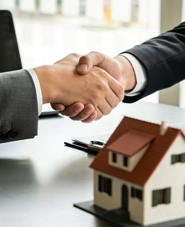 real estate consultant​